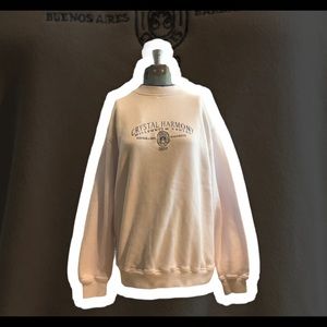 Oversized crewneck (READ BIO)